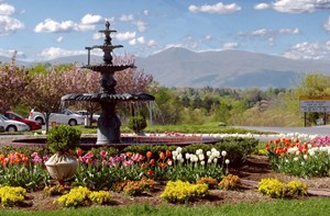 Sell My House In Amherst VA Fast